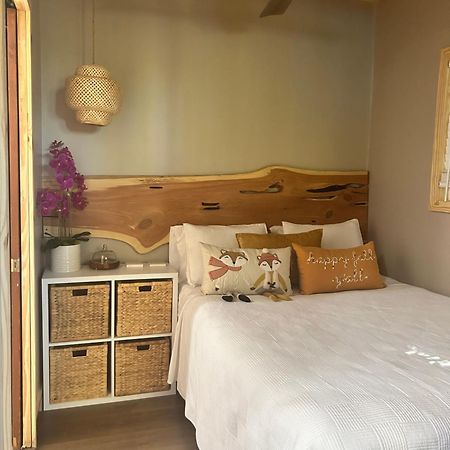 Sweet Tiny Cabin 坦帕 外观 照片