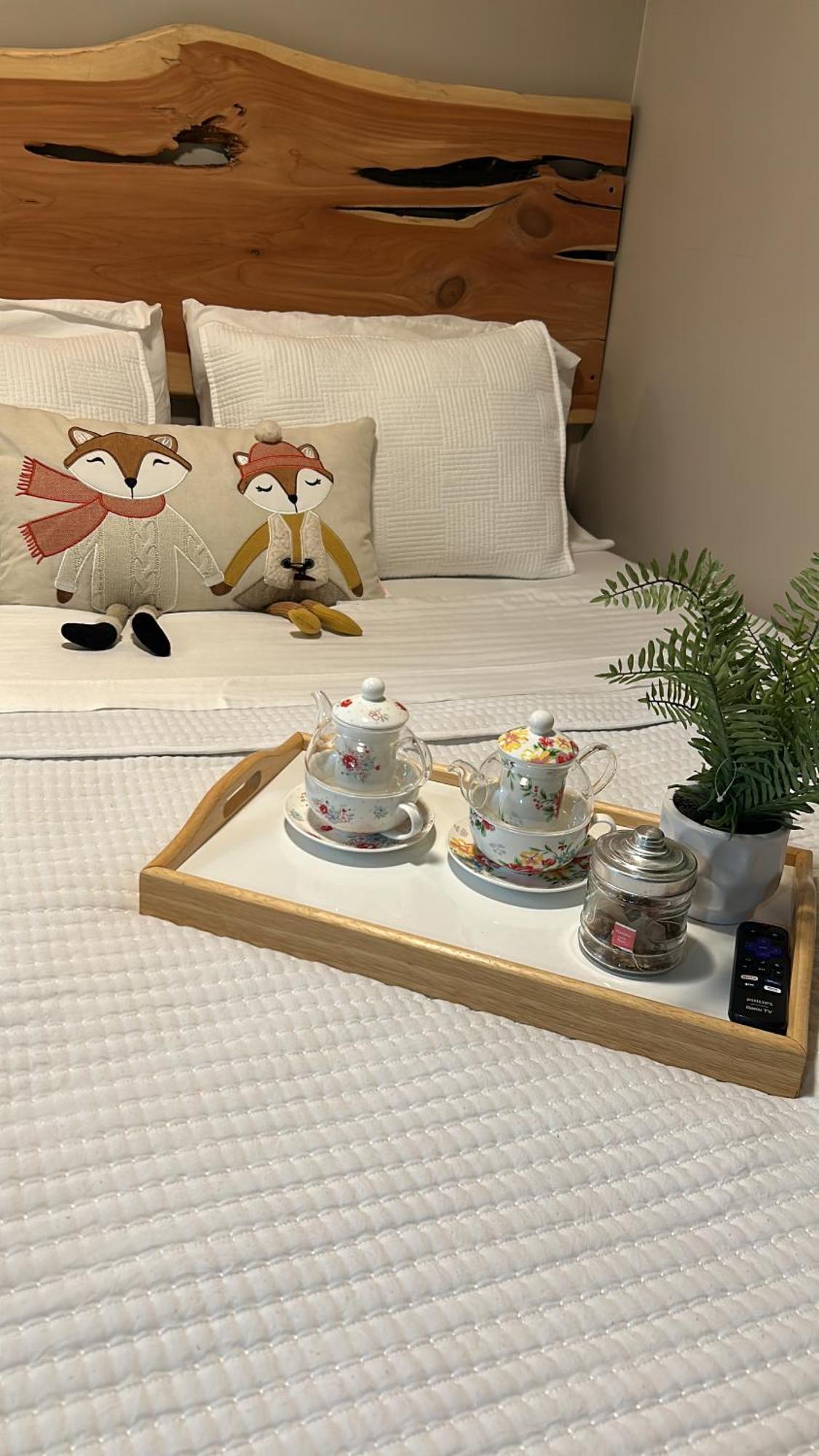 Sweet Tiny Cabin 坦帕 外观 照片