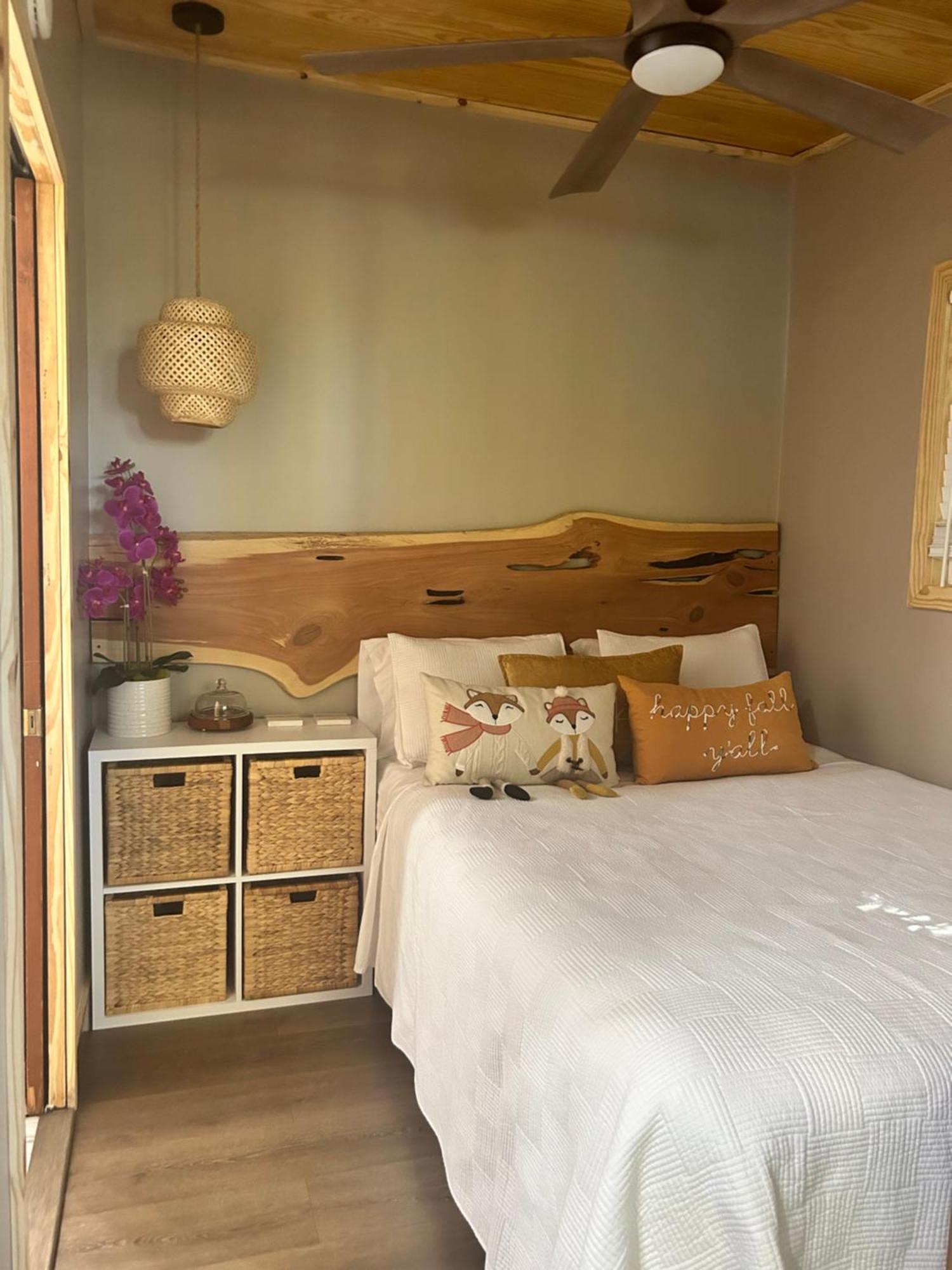 Sweet Tiny Cabin 坦帕 外观 照片